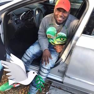 Meet your Posher, Newt